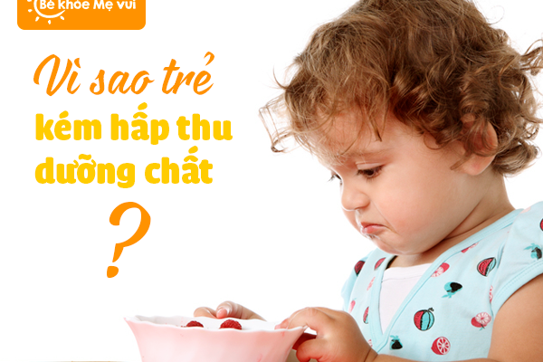 TOP 10 LOẠI THỰC PHẨM GIÚP BÉ HẤP THU TỐT VÀ TĂNG CÂN HIỆU QUẢ