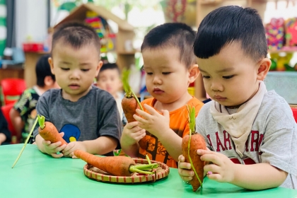 Học qua đồ vật, đồ chơi