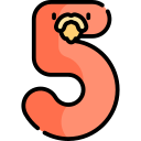 Bước 5